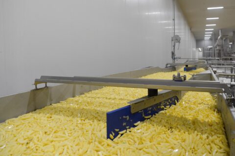 Agristo Begins Construction on $1B Potato Processing Plant in Grand Forks