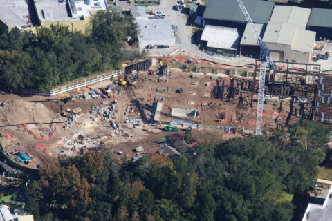 Disney’s Encanto Ride Marks New Construction Milestone at Animal Kingdom